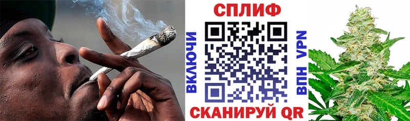 Галлюциногенные грибы Котельнич
