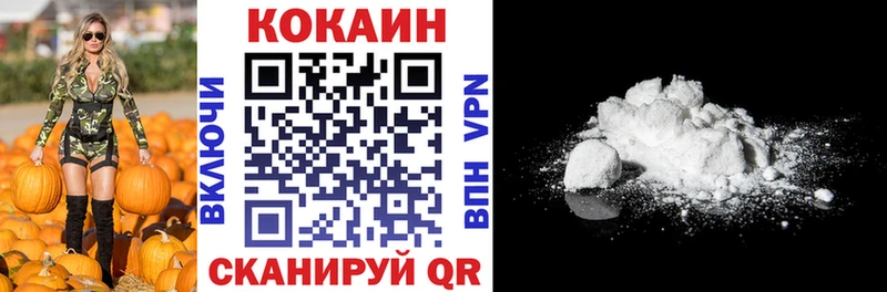 Кокаин Fish Scale  Купить закладки  Котельнич 