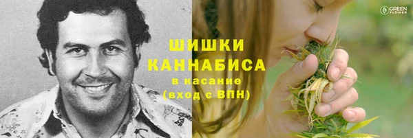2c-b Елабуга