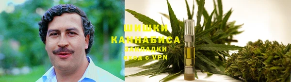 MESCALINE Елизово