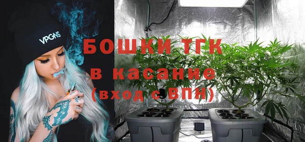 твердый Дмитриев
