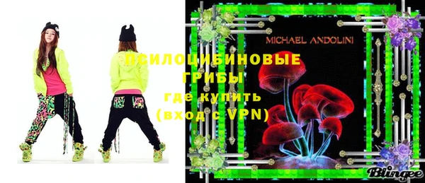 твердый Дмитров