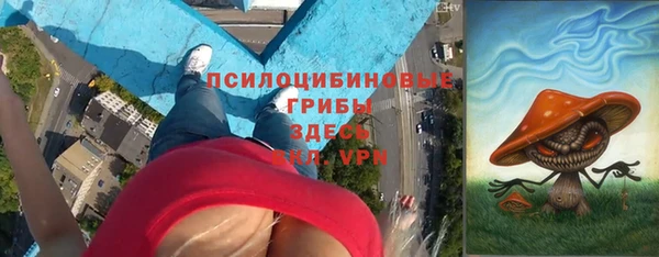 твердый Дмитров