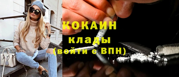твердый Дмитриев