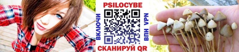 Галлюциногенные грибы GOLDEN TEACHER  Купить закладки  Котельнич 